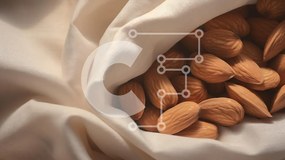 Σετ των 2 Intra Συλλεκτικό Ξύλινο Παζλ Plywood 4mm - Αμύγδαλα σε μαλακό ύφασμα Σε Ξύλινο Κουτί - Διαστάσεις: 10x10 cm – 25 κομμάτια