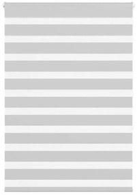 vidaXL Ζέβρα τυφλή Ανοιχτό Γκρι Πλάτος υφάσματος 90,9 εκ. Πολυεστέρας