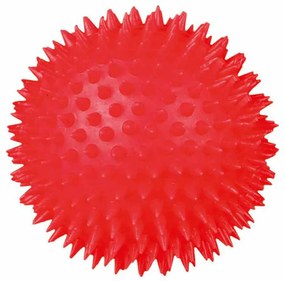 Παιχνίδια για Σκύλους Trixie Ø 10 cm