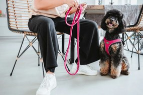 Λουρί Σκύλου Hunter Φούξια 2 m Ρυθμιζόμενο