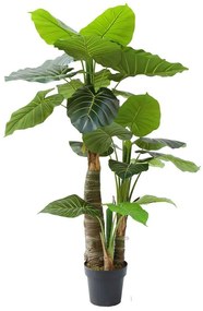 Τεχνητό Δέντρο Αλοκάσια Elephant Ears 8180-6 80x135cm Green Supergreens Polyethylene