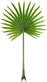 Τεχνητό Φύλλο Serenoa Palm 20172 77x140cm Green GloboStar Πολυαιθυλένιο,Ύφασμα