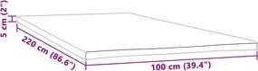 vidaXL Ανώστρωμα 100x220x5 εκ.