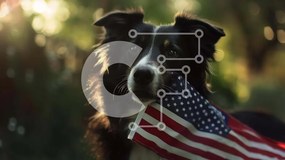 Σετ των 2 Intra Συλλεκτικό Ξύλινο Παζλ Plywood 4mm - Μαύρο και άσπρο σκυλί με αμερικανική σημαία Σε Ξύλινο Κουτί - Διαστάσεις: 10x10 cm – 25 κομμάτια