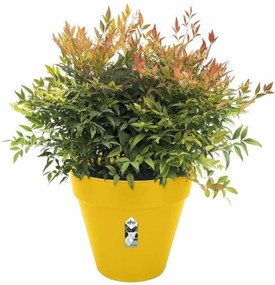 Βάζο Λουλουδιών Elho Ø 50 cm Πλαστική ύλη Στρόγγυλο Στρογγυλή Σύγχρονη