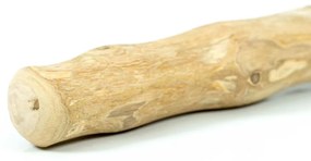 Μασητικό Οδοντοφυΐας Σκύλου Gloria S