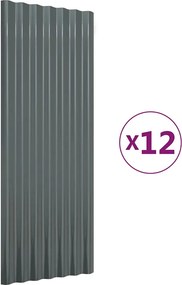 vidaXL Πάνελ Οροφής 12 τεμ. Ανθρακί 100x36 εκ Γαλβανισμένος χάλυβας