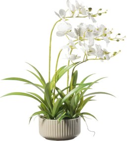 Τεχνητό Φυτό Ορχιδέα Phalaenopsis 5401-6 60cm White Supergreens Ύφασμα,Πλαστικό