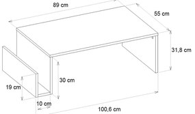Τραπεζάκι σαλονιού Regnar Megapap χρώμα rebab 100,6x55x31,8εκ.