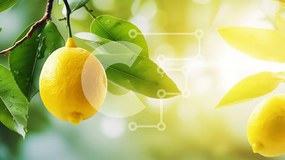 Intra Συλλεκτικό Ξύλινο Παζλ Plywood 4mm - Λεμόνι σε ένα κλαδί με το φως του ήλιου Σε Ξύλινο Κουτί - Διαστάσεις: 10x10 cm – 25 κομμάτια