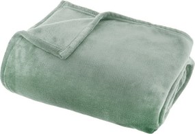 Κουβέρτα Καναπέ Fleece (130x180) A-S Ollis Celadon 156047Q