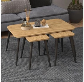 Τραπεζάκι Σαλονιού Σετ 3 Τμχ Oliva Oak 90x55x46 GP022-0086,2 Megapap-GP022-0086,2-Καφέ GP022-0086,2