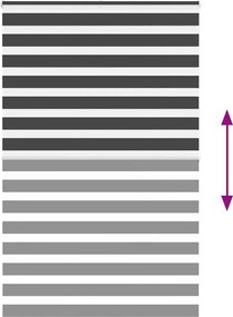 vidaXL Ζέβρα τυφλή Μαύρο Πλάτος υφάσματος 145,9 εκ. Πολυεστέρας