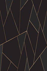 Χαλί EXFAB321 Black-Gold Conceptum Hypnose 160X230cm
