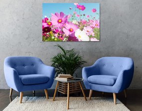 Εικόνα λιβάδι με ανοιξιάτικα λουλούδια - 90x60