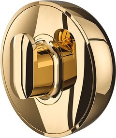 Tiger Cooper Άγκιστρο large Polished gold 800556