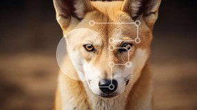 Σετ των 2 Intra Συλλεκτικό Ξύλινο Παζλ Plywood  4mm - Κοντινό πλάνο του προσώπου ενός Ντίνγκο Σε Ξύλινο Κουτί - Διαστάσεις: 10x10 cm – 25 κομμάτια