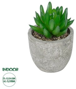 GloboStar® Artificial Garden SUCCULENT SEDEVERIA POTTED PLANT 21019 Διακοσμητικό Φυτό Σεδεβέρια  Φ6,5 x Υ9cm