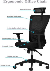 Office Chair Set (2 Pieces) Lumbar 126 - Black Black