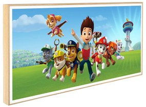 Παιδικό Κάδρο Paw Patrol KDP161 30x60cm