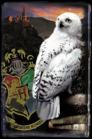 Εκτύπωση τέχνης Harry Potter - Hedwig, (26.7 x 40 cm)