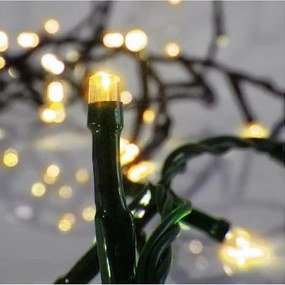 Epam Σειρά 1000 LED Θερμό Λευκό Με Προγράμματα Πράσινο Καλώδιο 50m IP44 Ρεύματος XLALED1000-GWW/31V