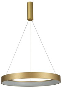 Φωτιστικό Οροφής LED Dimmable Homelighting Amaya 77-8147 Gold