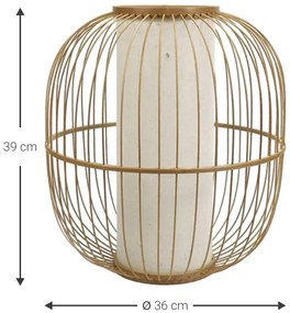 Φαναράκι Basket