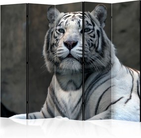 Διαχωριστικό με 5 τμήματα - Bengali tiger in zoo II [Room Dividers]