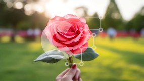 Intra Συλλεκτικό Ξύλινο Παζλ Plywood 4mm - Άτομο που κρατά το ελκυστικό ροζ τριαντάφυλλο στη φύση Σε Ξύλινο Κουτί - Διαστάσεις: 10x10 cm – 25 κομμάτια