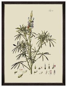 Κάδρο Botanical VI FA13229 60x80cm Green MindTheGap Vertical Wood