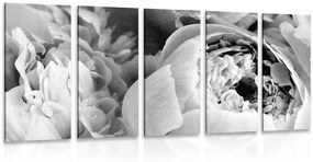 Εικόνα 5 τμημάτων ασπρόμαυρα πέταλα ενός λουλουδιού - 100x50
