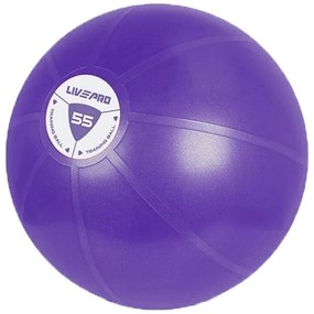 Μπάλα Κινησιοθεραπείας LivePro Core Fit 55cm Β 8201-55