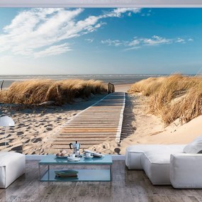 Φωτοταπετσαρία - North Sea beach, Langeoog 250x193