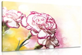 Εικόνα όμορφα λουλούδια γαρύφαλλου - 120x80