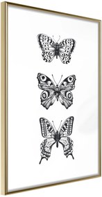 Αφίσα - Butterfly Collection III A - 20x30 - Χρυσό - Χωρίς πασπαρτού