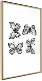 Αφίσα - Butterfly Collection III B - 40x60 - Χρυσό - Χωρίς πασπαρτού