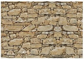 Φωτοταπετσαρία - Stone wall 250x175