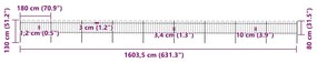 vidaXL Φράχτης Κήπου με Κορυφή από Ατσάλι 1603,5 x 80 εκ. Μαύρος