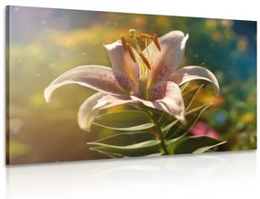 Εικόνα όμορφο λουλούδι με ρετρό χροιά - 90x60
