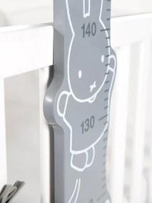 Χάρακας ανάπτυξης Miffy