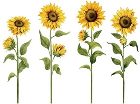 Διακοσμητικά αυτοκόλλητα τοίχου Sunflowers L