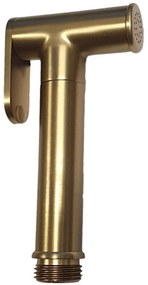 Τηλέφωνο Μπιντέ Ντους Artemis AC545BOR Φ2x5,7x12,2cm Gold Karag Metal