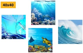 Σετ εικόνων ζωή κάτω από το νερό - 4x 60x60