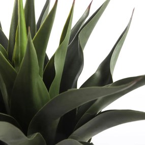 Τεχνητό Φυτό Σε Γλάστρα 60εκ. Edelman Agave 1026435