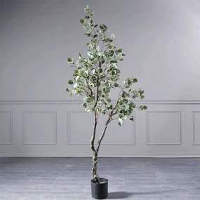 Τεχνητό Δέντρο Παχίρα 8340-6 90x210cm Green Supergreens Wood, Fabric