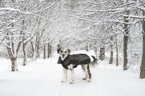 Παλτό Σκύλου Dog Gone Smart Μαύρο 45 cm