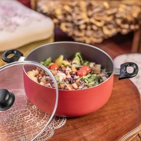 Κατσαρόλα Livoo Κόκκινο Ø 24 cm 4 L