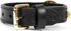 Κολλάρο Σκύλου Gloria Duna Μαύρο Χρυσό (35 x 2 cm)