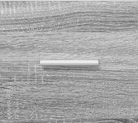 vidaXL Ντουλάπι TV 100 x 33 x 47 εκ Γκρι Sonoma Επεξεργασμένο Ξύλο